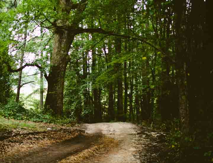 性能调优的云呼叫中心系统